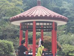 -庐山风景区花径公园