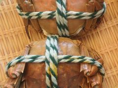 -丫丫蟹庄·苏式园林农家乐·阳澄湖大闸蟹(阳澄湖莲花岛店)