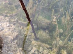 -黄埔油麻山森林公园