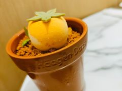 -哈根达斯(芳圆里店)