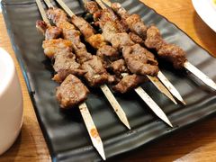 普通羊肉串-撒拉花儿·新疆菜·清真(太阳宫店)