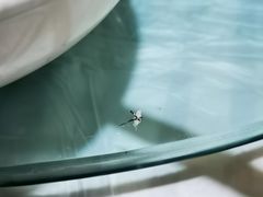 -葡萄园鱼庄(新津店)