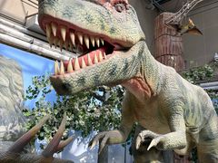 -国家自然博物馆