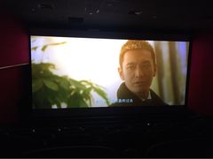 新星影城-中影新星影城(万科锦程店)