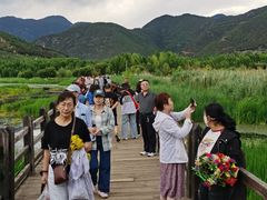 -泸沽湖国家级风景名胜区走婚桥