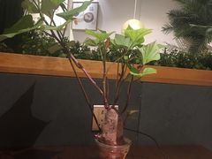 -十二舍·湯物素煮(江泰潤政店)