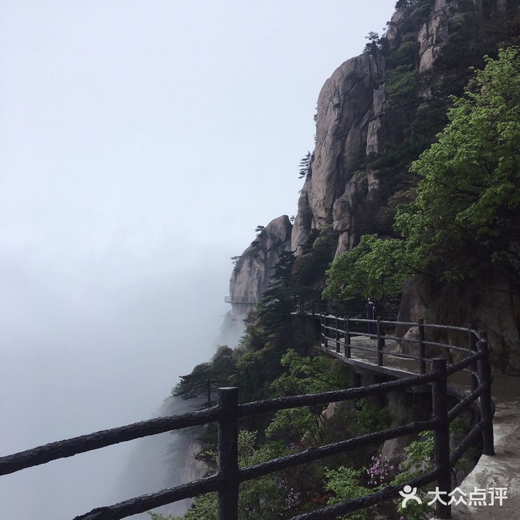 人间四月芳菲尽 花台杜鹃始盛开