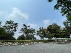 -汉长安城未央宫国家考古遗址公园