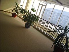 -稻香湖景酒店