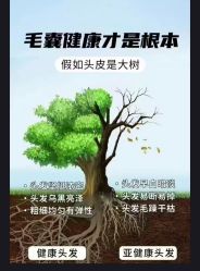 -Bollins波林丝•专研护发中心