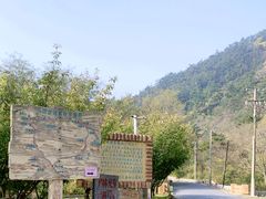 -金龙寺国家森林公园