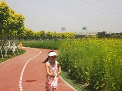 -小城家宴
