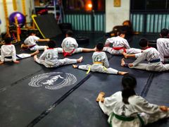 -金翼跆拳道巴西柔术拳击格斗学院