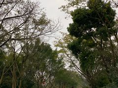 -峨眉山报国寺