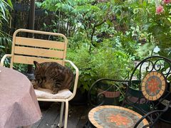 -海边的猫和咖啡馆