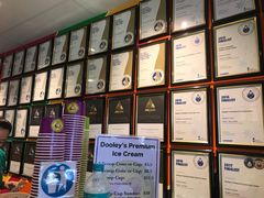 -Dooley's Premium Ice Cream