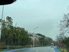 -苏州太湖国家湿地公园