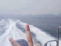 -深圳仙湖植物园-停车场
