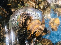 鲍鱼-钱库里海鲜自助(星海广场店)