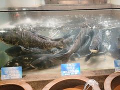 -上名堂·鱼头好吃(体育场路店)