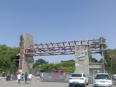 -塘沽森林公园