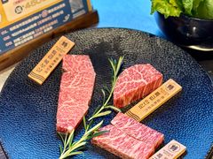 -火浪壹 by tigergrill(33小镇店)