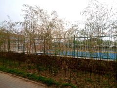 -西北农林科技大学(北校区)
