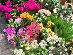 -双季花艺园艺市场(浦东店)