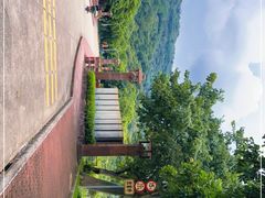 -风云岭森林公园