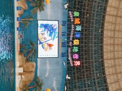 -泉城欧乐堡海洋极地世界