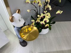 -视野联行眼镜蔡司·依视路官方授权店(顺城店)