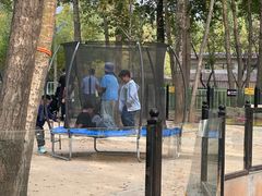 -鄂尔多斯野生动物园