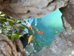 -碧水湾温泉