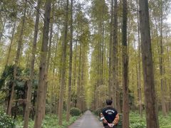 -上海怡沁园度假酒店