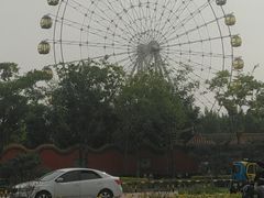 -商丘市人民公园