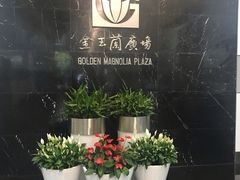 -小树照相馆·证件照(打浦桥店)