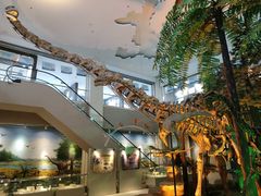 -甘肃地质博物馆