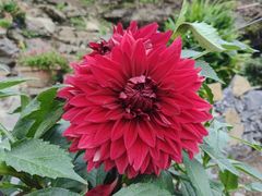 -武陵山森林公园