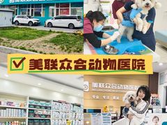 -美联众合动物医院·24h京西诊疗中心
