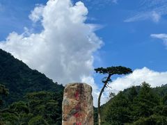 -姑婆山旅游区