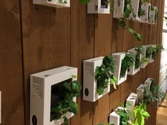 -无印良品餐堂 MUJI Diner(成都太古里店)