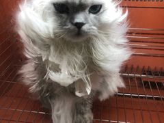 -宠颐生动物医院·小陆分院