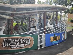 -盈香心动乐园