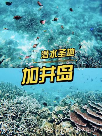 海南团建|比普吉岛还干净的潜水圣地，加井岛