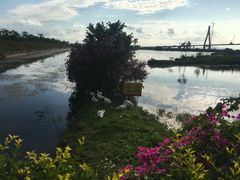 -芒洲湿地公园