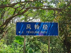 -梧桐山风景名胜区