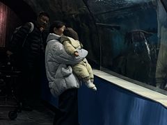 -苏州海洋馆
