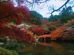-醍醐寺