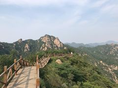 -大岭沟猕猴桃谷风景区