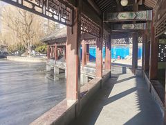 -团结湖公园